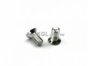 C08-X77 Screw