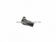 C08-X79 Screw