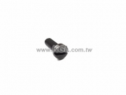 C10-X31-1 Screw